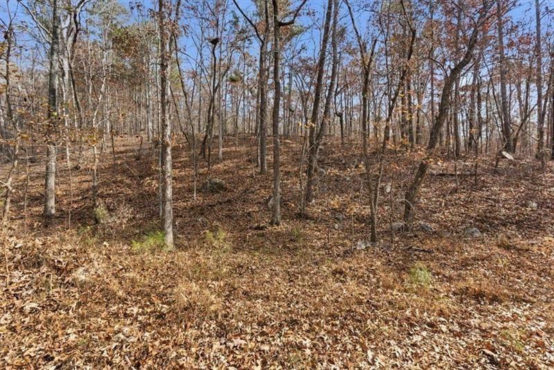 0 Flowery Branch Road Kingston, GA 30145 - Photo 10 of 29