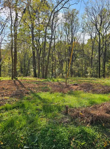 a view of outdoor space with trees all around