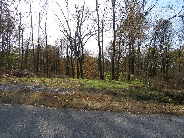 0 Sugar Ridge Road Spring Hill, TN 37174 - Photo 12 of 32 a view of a yard with trees in front of it