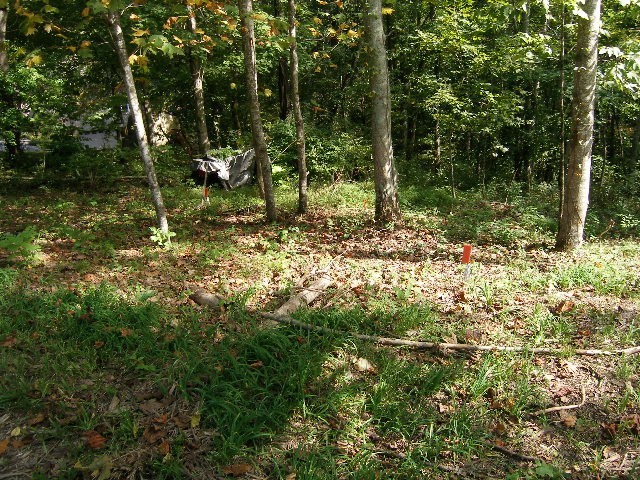 0 Sugar Ridge Road Spring Hill, TN 37174 - Photo 18 of 32 a backyard of a house with lots of green space