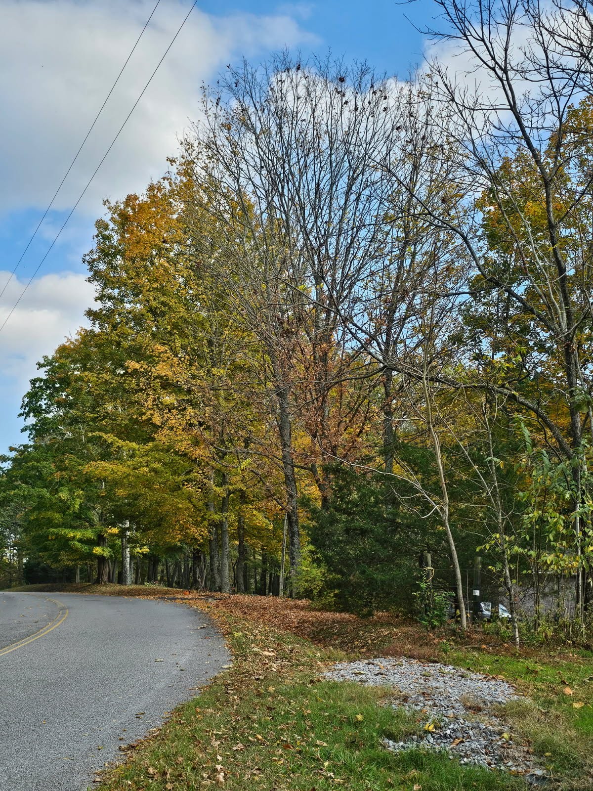0 Sugar Ridge Road Spring Hill, TN 37174 - Photo 29 of 32 a view of backyard with green space