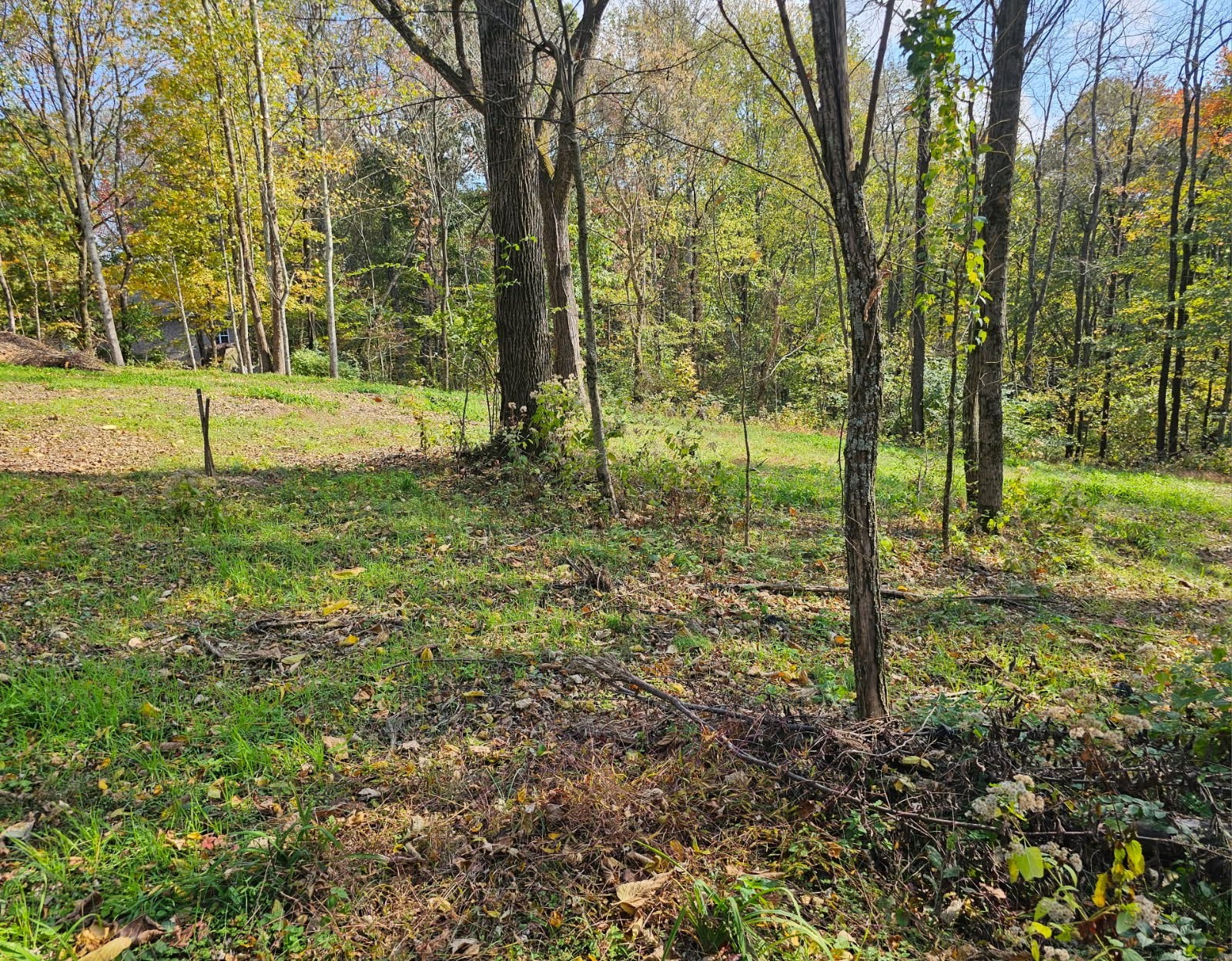 0 Sugar Ridge Road Spring Hill, TN 37174 - Photo 30 of 32 a view of a park