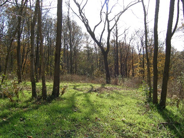 0 Sugar Ridge Road Spring Hill, TN 37174 - Photo 3 of 32 a view of backyard with green space