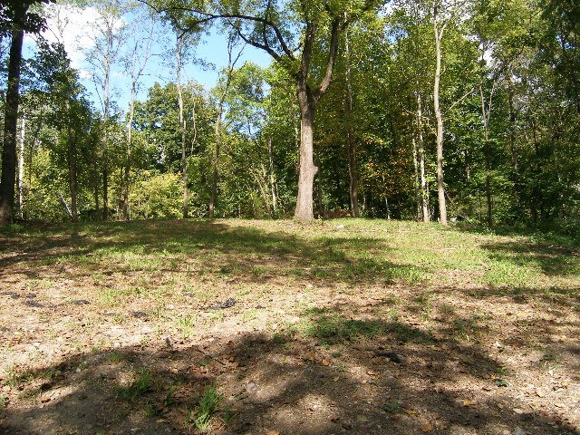 0 Sugar Ridge Road Spring Hill, TN 37174 - Photo 5 of 32 a view of outdoor space with trees all around