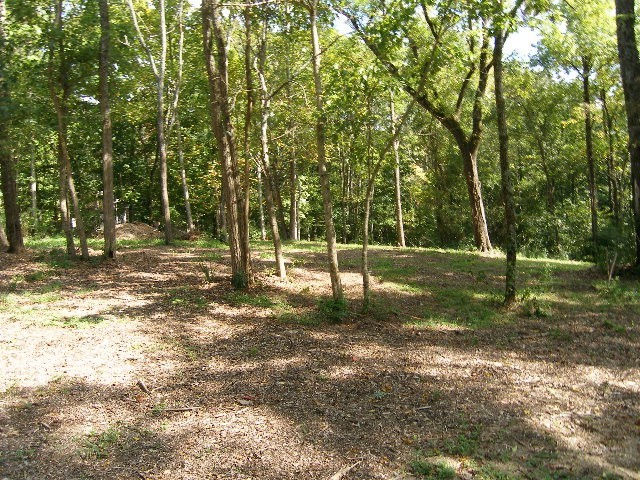 0 Sugar Ridge Road Spring Hill, TN 37174 - Photo 7 of 32 a view of a park