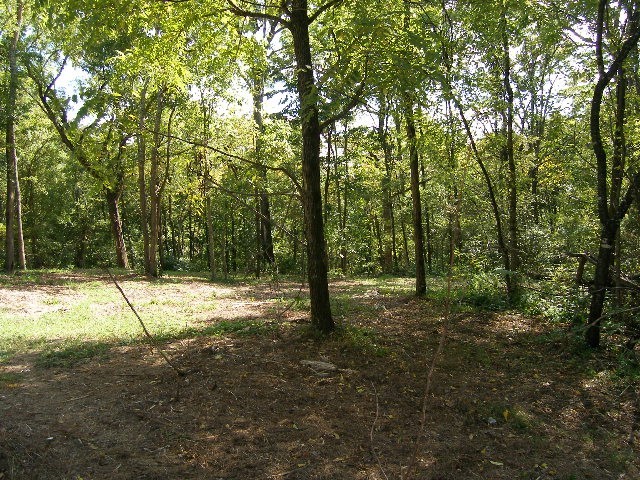 0 Sugar Ridge Road Spring Hill, TN 37174 - Photo 8 of 32 a house with trees in the background