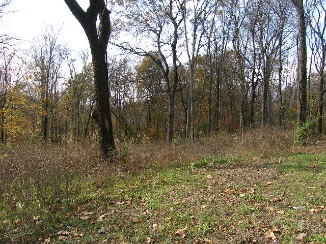 0 Sugar Ridge Road Spring Hill, TN 37174 - Photo 9 of 32 a view of outdoor space with trees