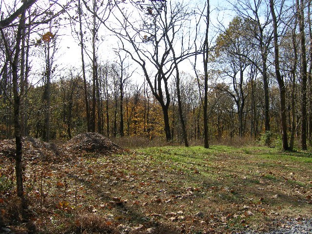 0 Sugar Ridge Road Spring Hill, TN 37174 - Photo 10 of 32 a big yard with lots of green space and trees
