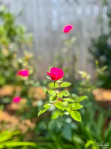 $350,000 | 7305 Farmers Road, Pensacola, FL 32526