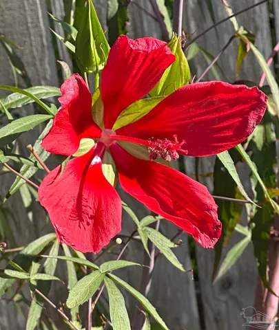 $350,000 | 7305 Farmers Road, Pensacola, FL 32526