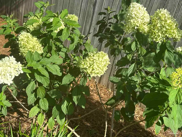 $350,000 | 7305 Farmers Road, Pensacola, FL 32526