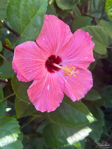 $350,000 | 7305 Farmers Road, Pensacola, FL 32526