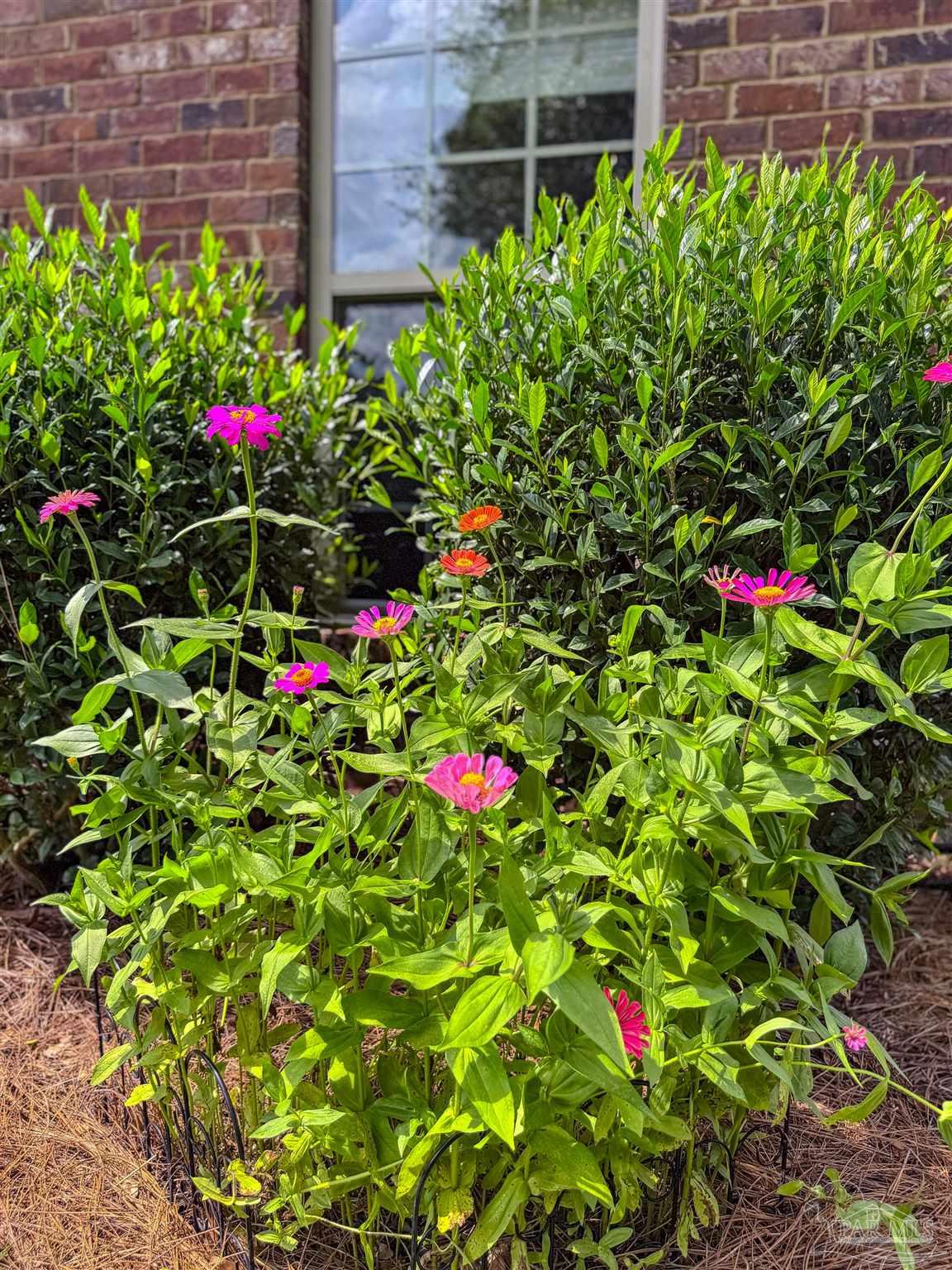 7305 Farmers Road Pensacola, FL 32526 - Photo 45 of 47 a view of a flower in a garden