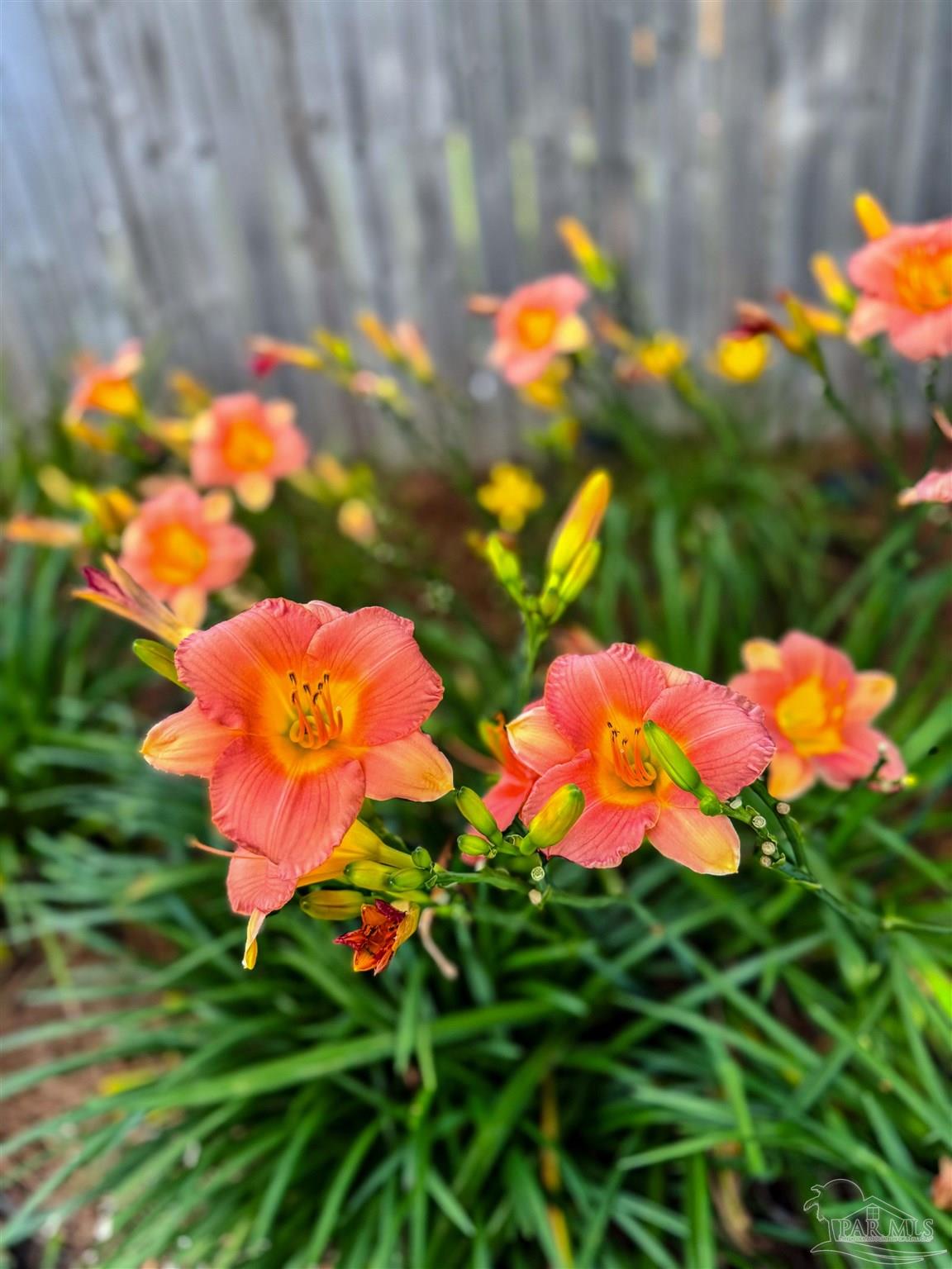 7305 Farmers Road Pensacola, FL 32526 - Photo 46 of 47