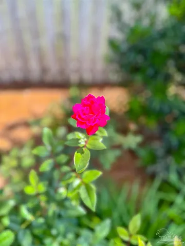 $350,000 | 7305 Farmers Road, Pensacola, FL 32526