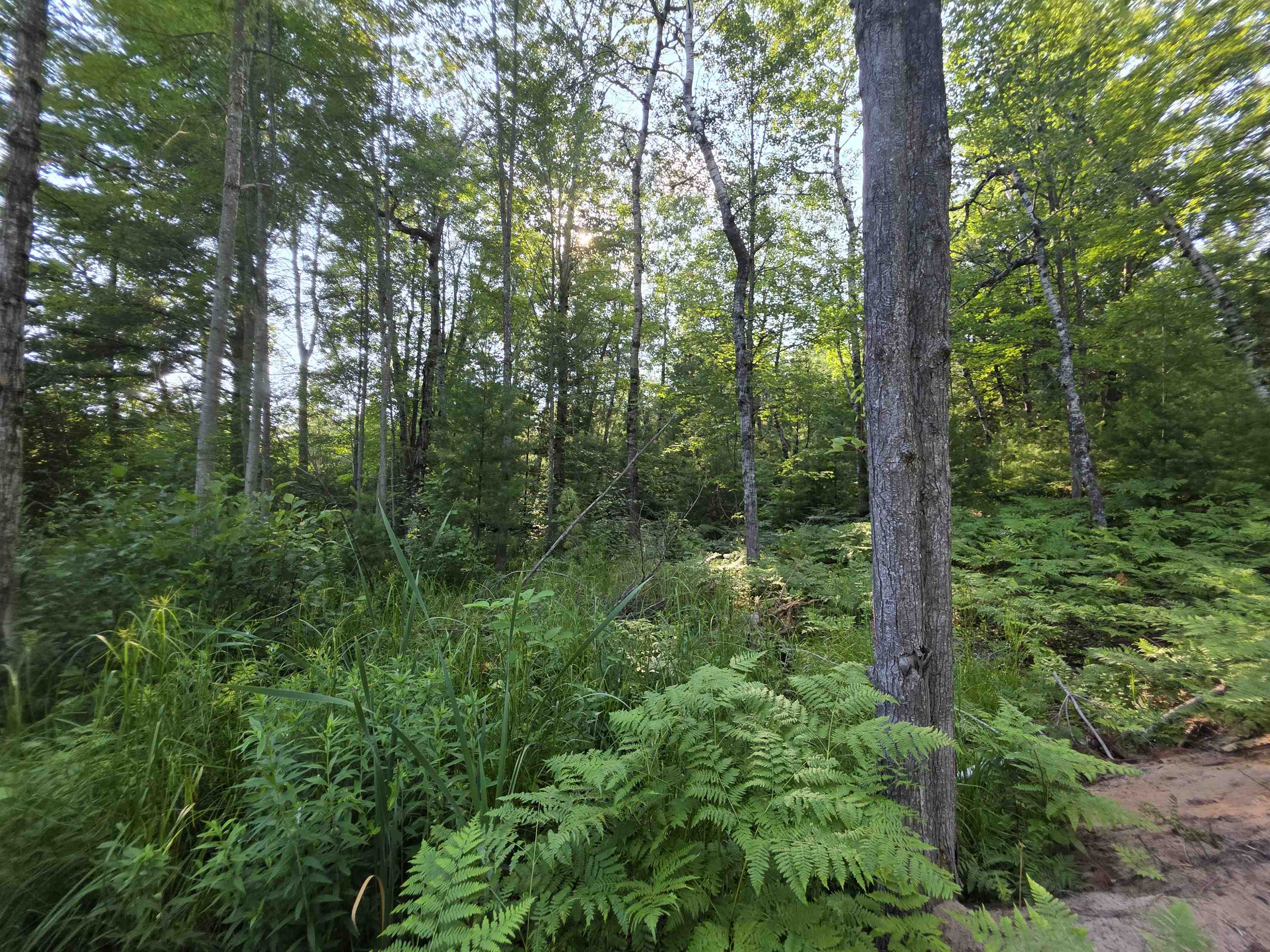 0 Arnold Road Manton, MI 49663 - Photo 45 of 63