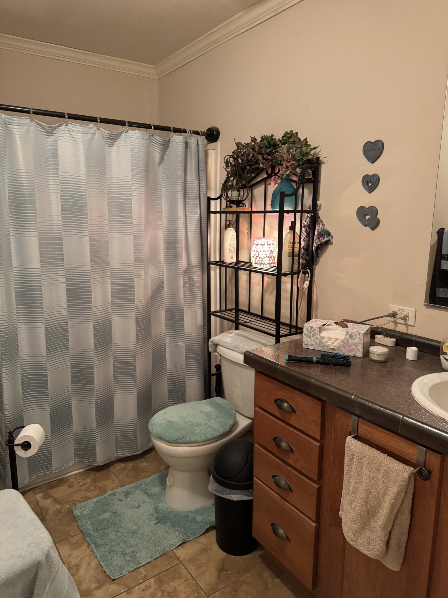241 Greenfield Road Prospect, TN 38477 - Photo 31 of 32 a bathroom with a granite countertop sink a toilet a mirror and shower curtain