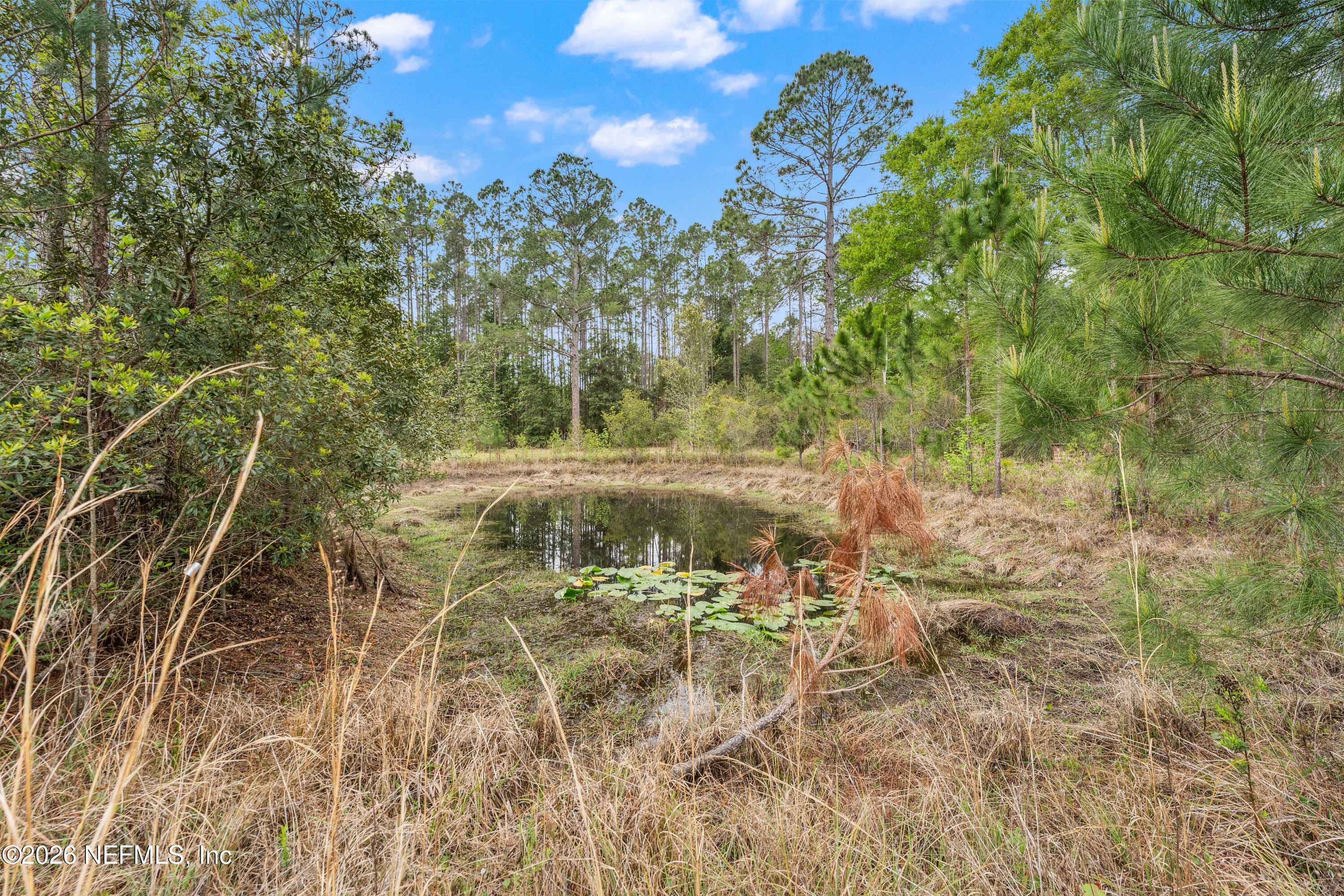 43001 Egger Place Callahan, FL 32011 - Photo 41 of 53 a view of a lake
