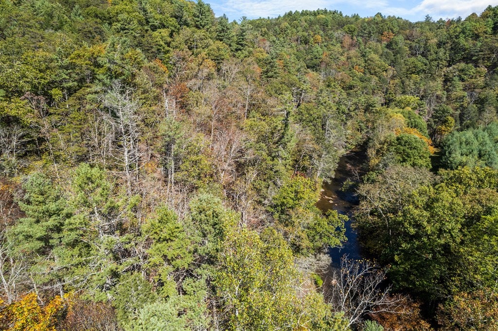 Tbd Scratch Gravel Road Max Meadows, VA 24360 - Photo 6 of 37 Gallery Image 6