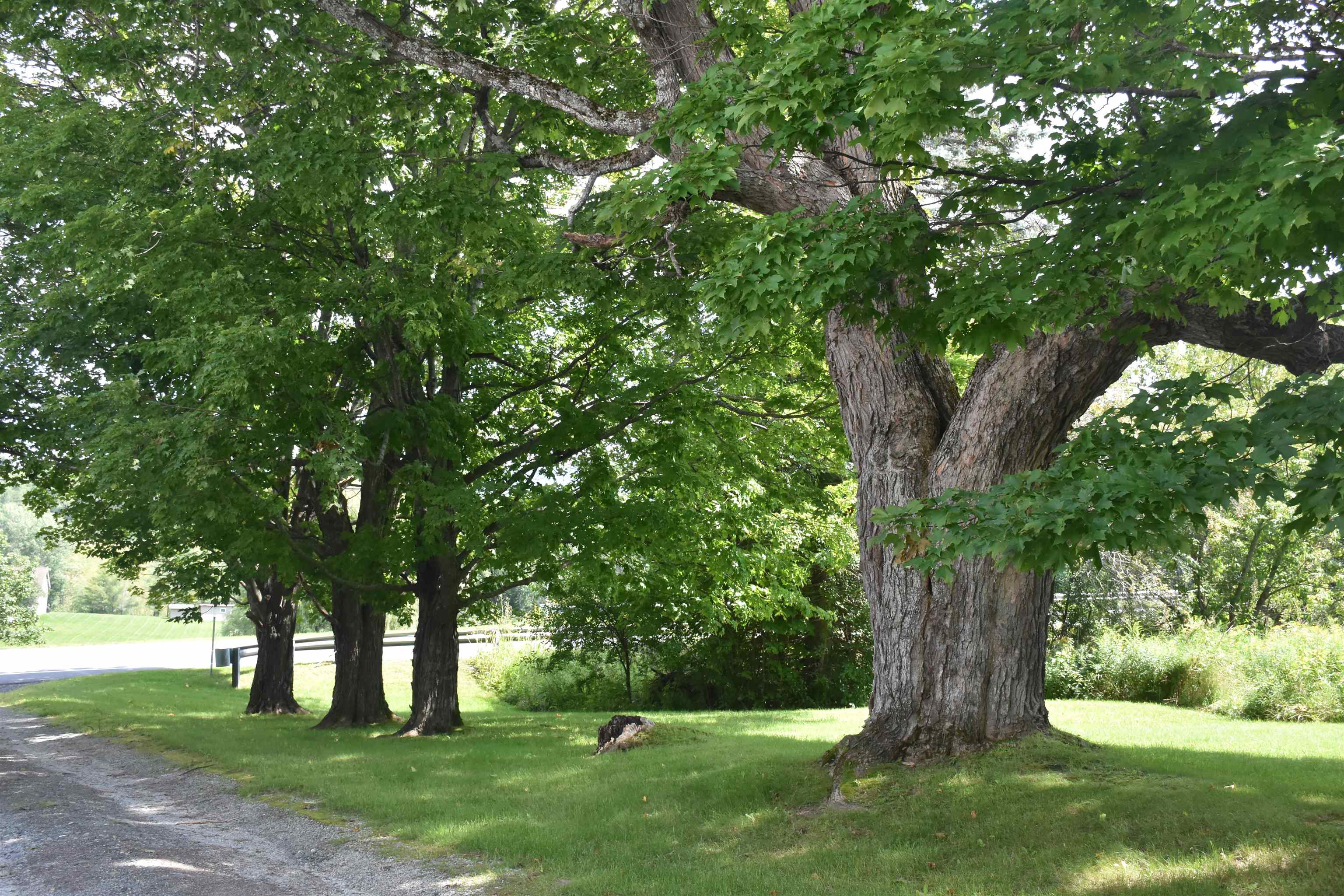 76 Washington Road Barre Town, VT 05649 - Photo 36 of 40 Gallery Image 36