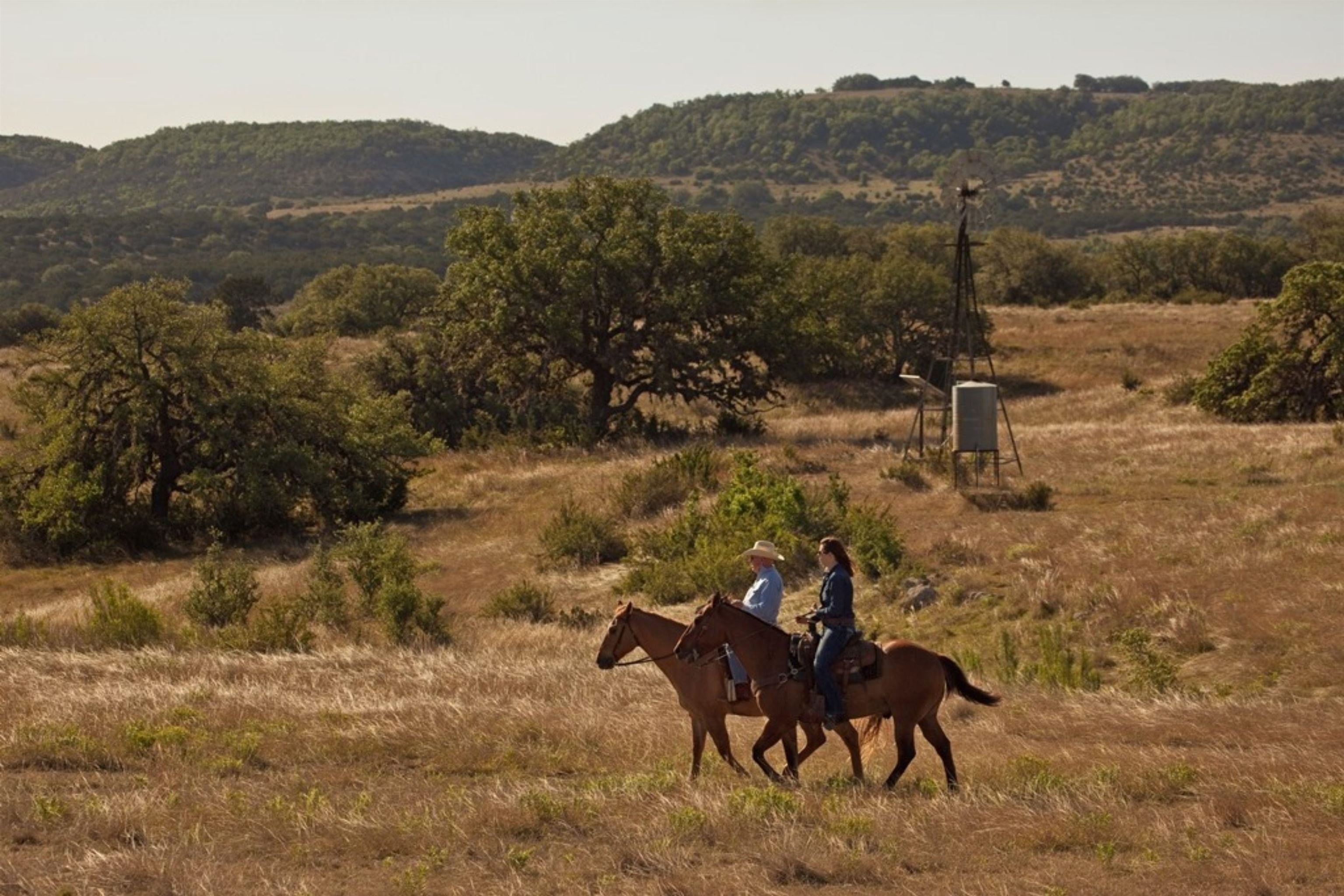 613 Cattle Creek Road Johnson City, TX 78636 - Photo 18 of 18 a view of a mountain from a yard