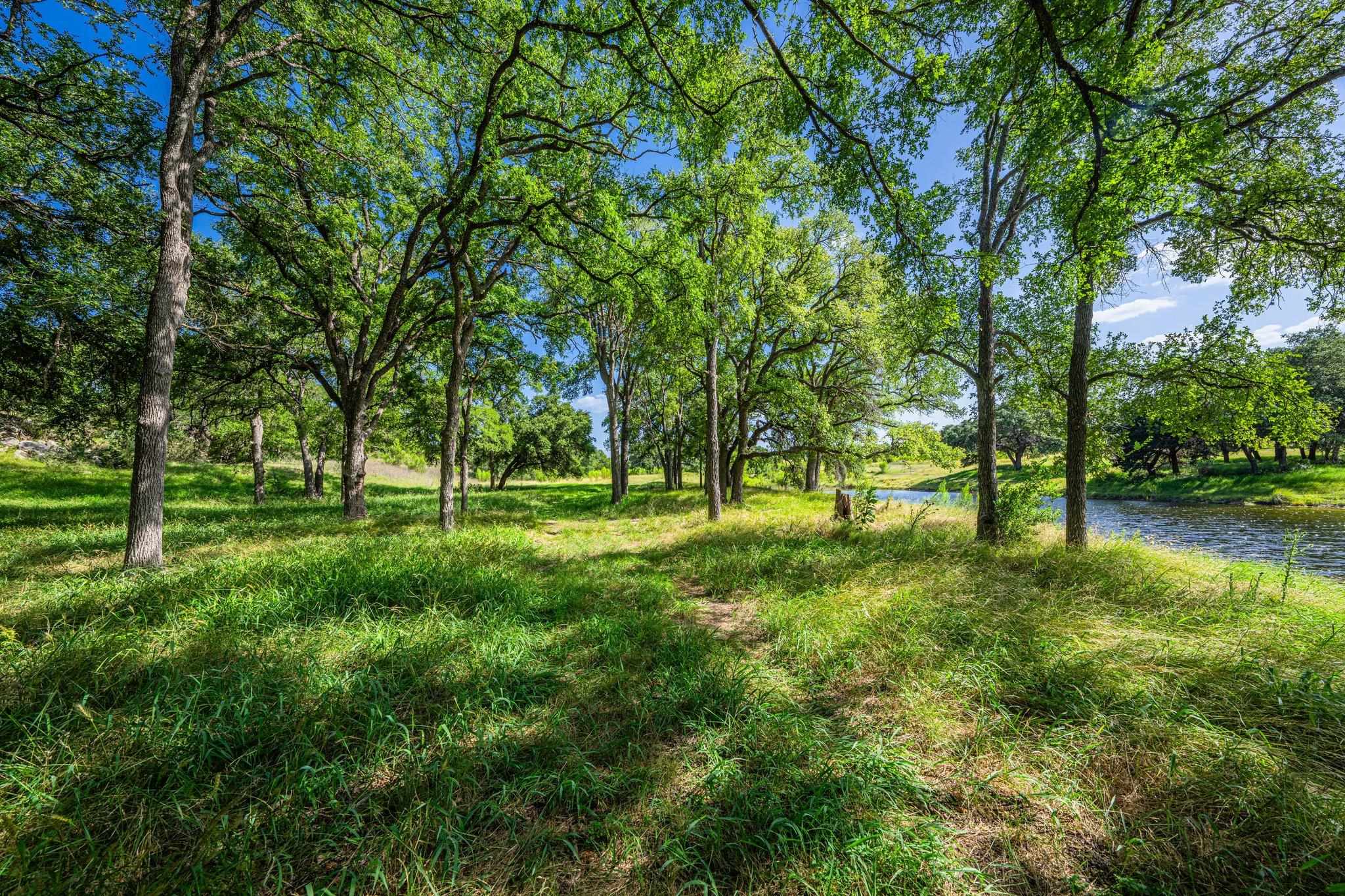 613 Cattle Creek Road Johnson City, TX 78636 - Photo 3 of 18 a huge green field with lots of trees