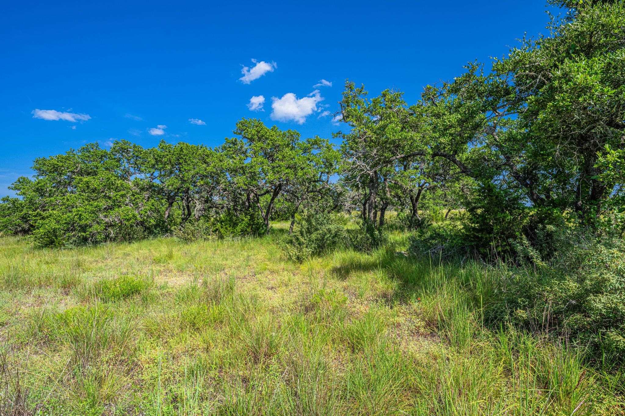 613 Cattle Creek Road Johnson City, TX 78636 - Photo 4 of 18 a view of a yard with plants and a trees