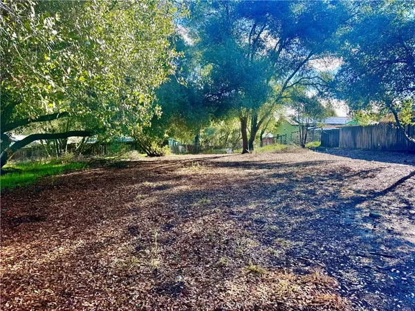 a view of a yard with plants and a large tree