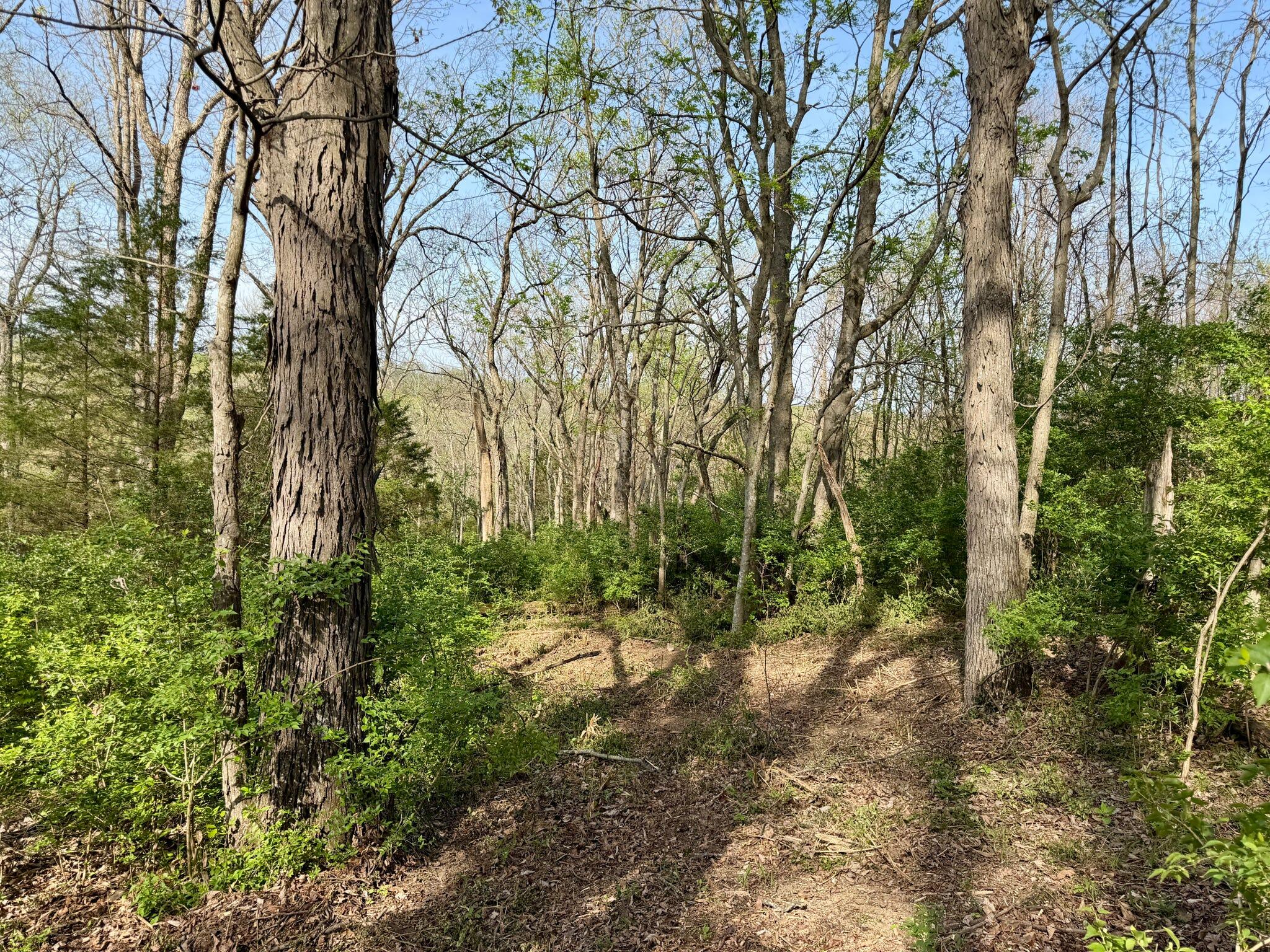 24 East Union Road Carlisle, KY 40311 - Photo 13 of 52 Trail