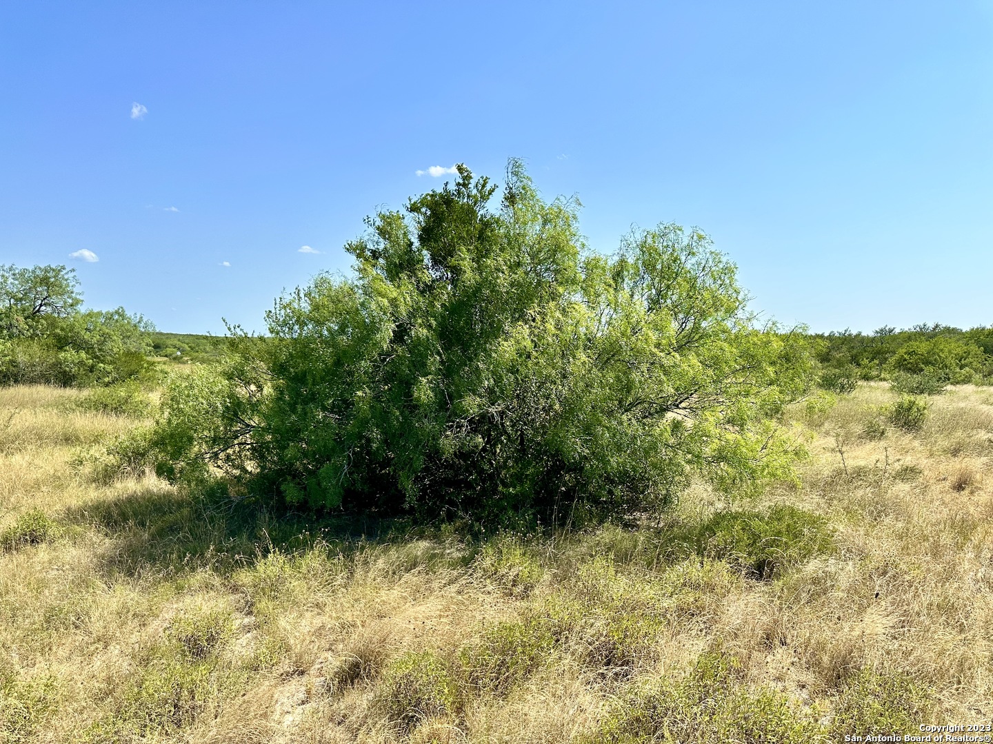 116 County Road 116 George West, TX 78022 - Photo 11 of 47