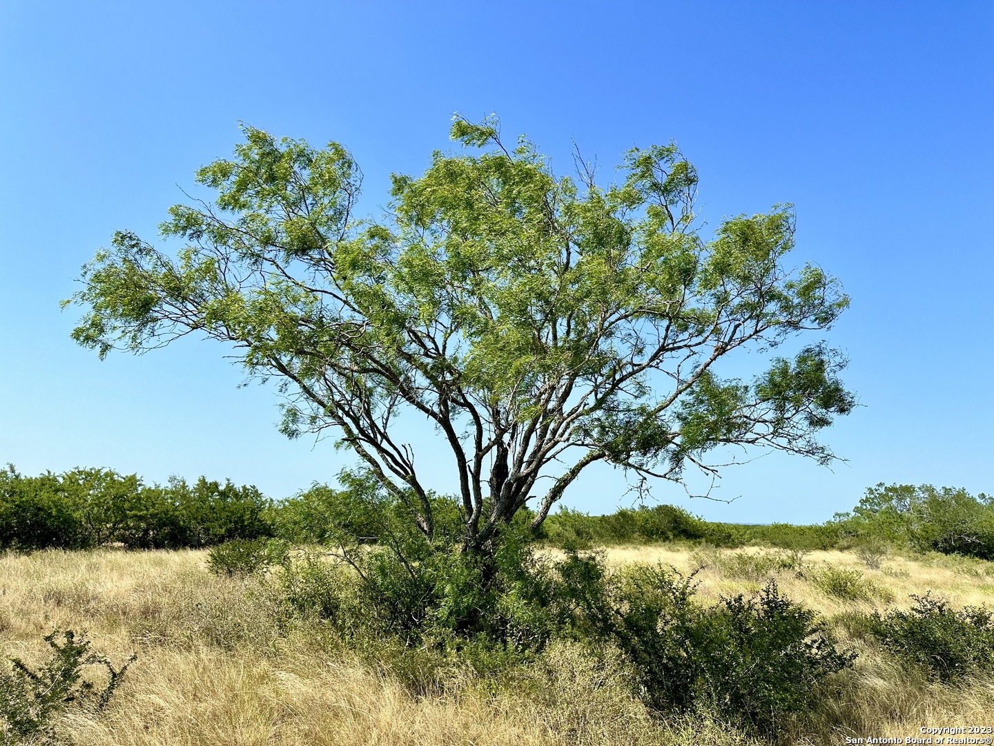 116 County Road 116 George West, TX 78022 - Photo 17 of 47