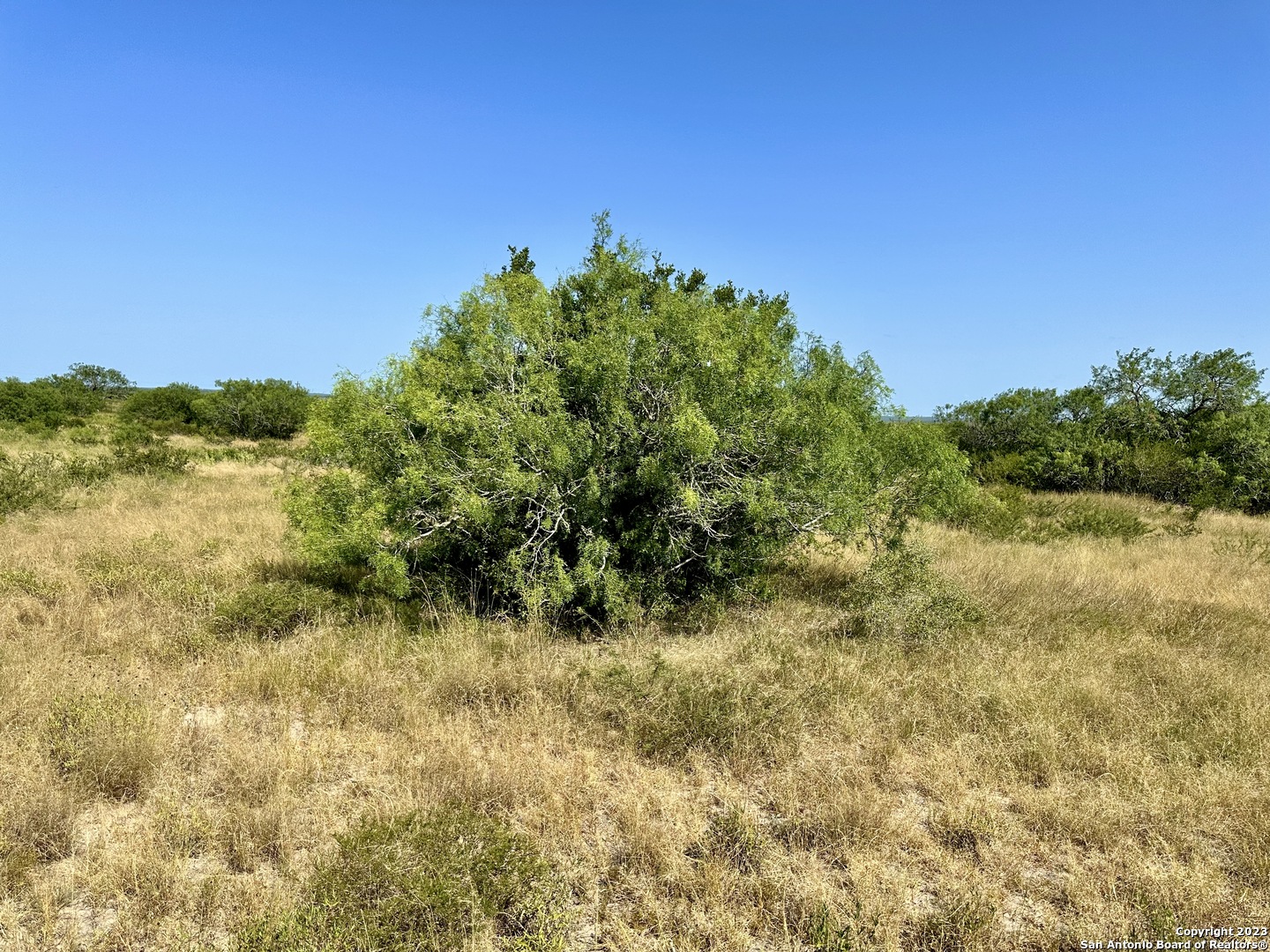 116 County Road 116 George West, TX 78022 - Photo 18 of 47