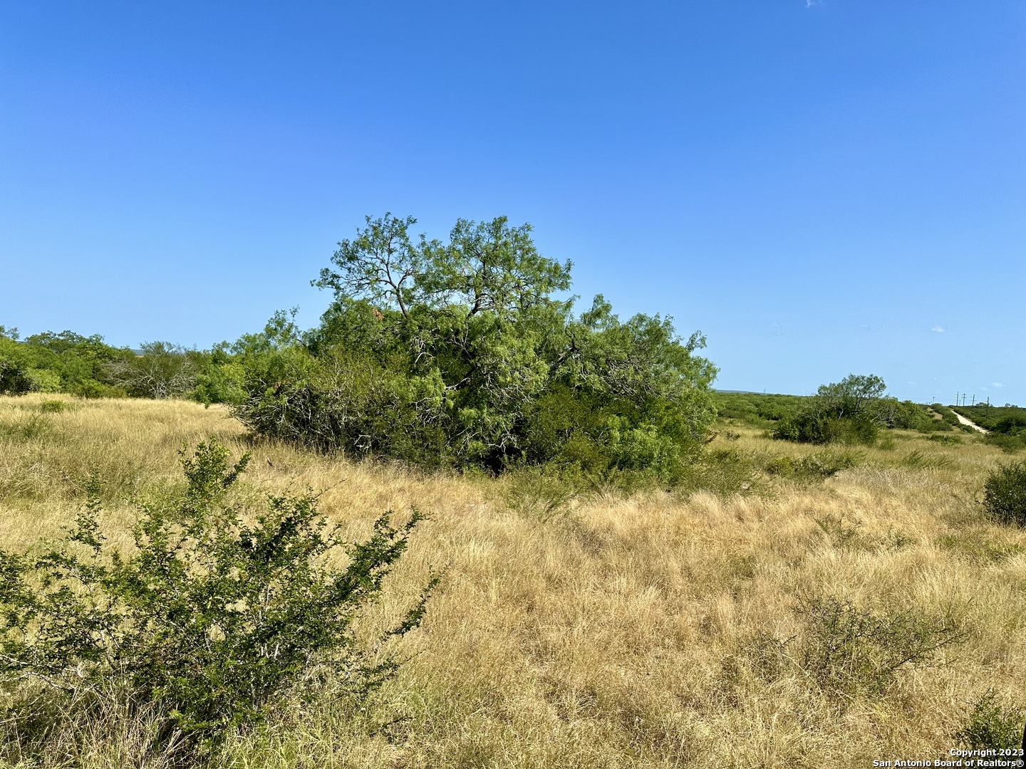 116 County Road 116 George West, TX 78022 - Photo 19 of 47