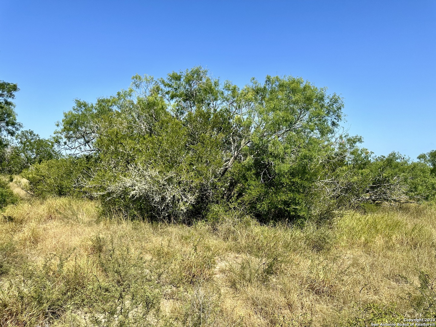 116 County Road 116 George West, TX 78022 - Photo 20 of 47