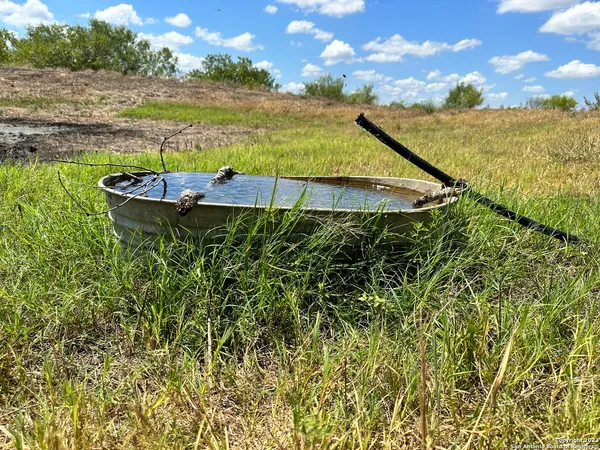 a view of a lake from a yard