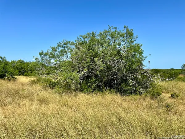 a view of lake and mountain