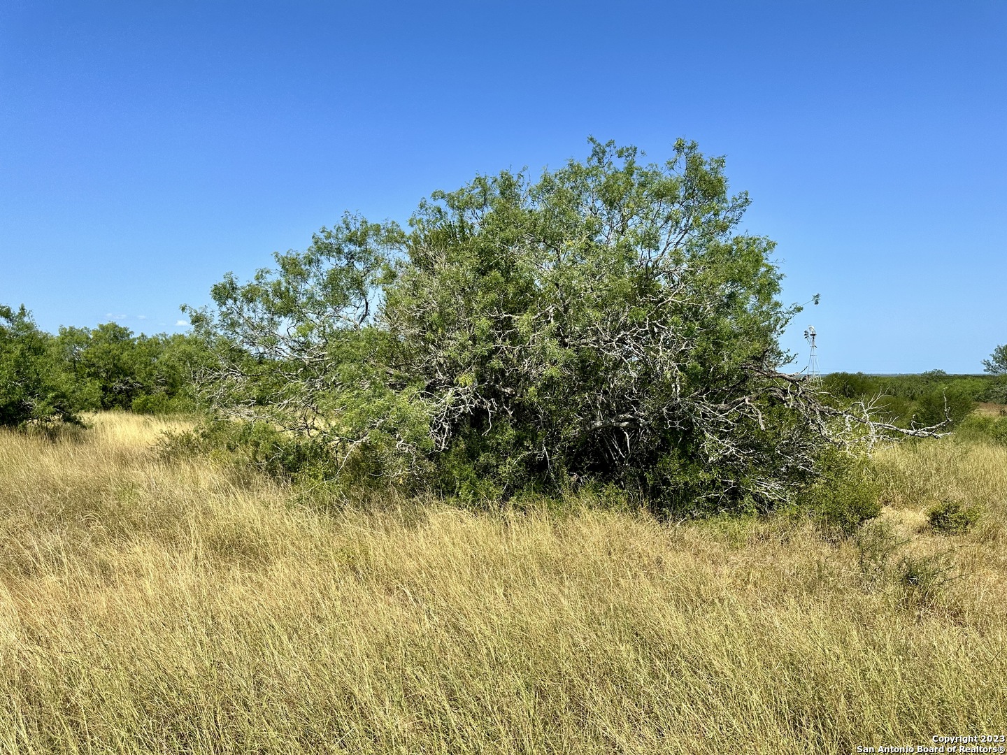 116 County Road 116 George West, TX 78022 - Photo 21 of 47