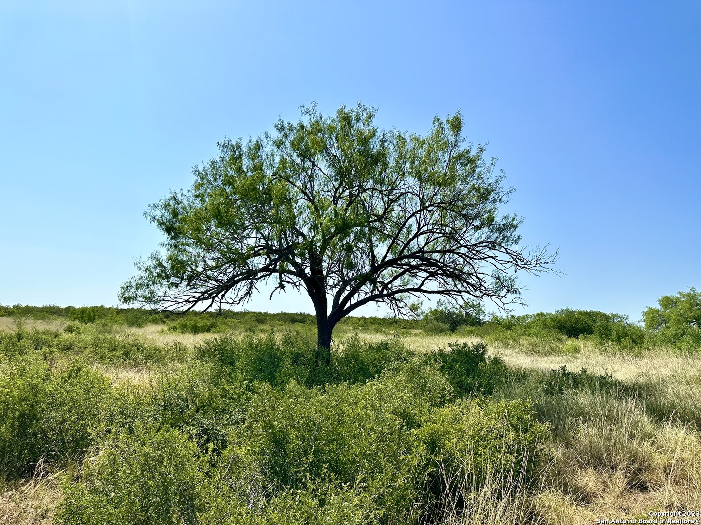 116 County Road 116 George West, TX 78022 - Photo 24 of 47