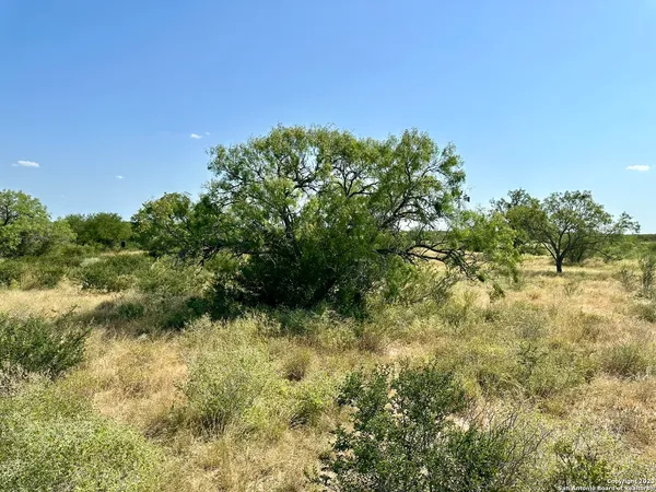 a view of a lake with a tree