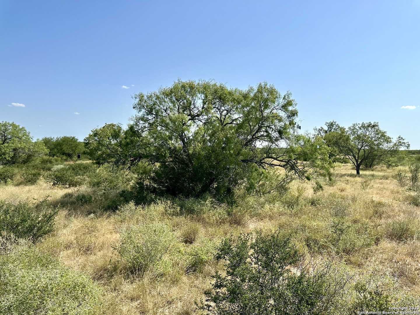 116 County Road 116 George West, TX 78022 - Photo 26 of 47