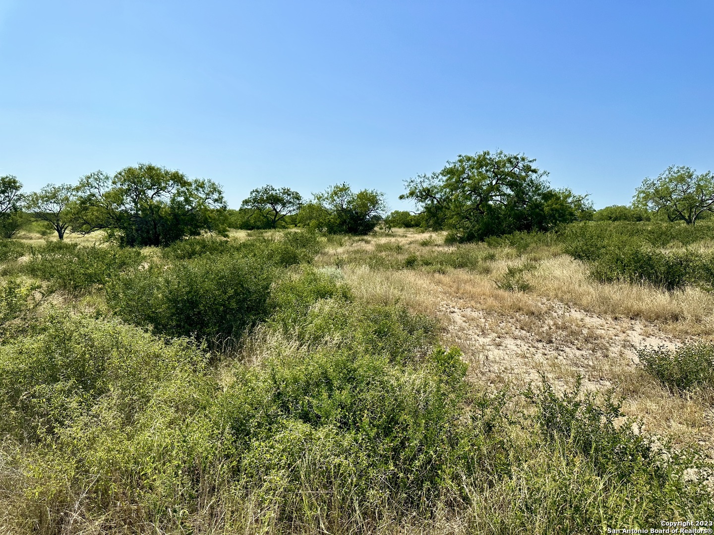 116 County Road 116 George West, TX 78022 - Photo 28 of 47