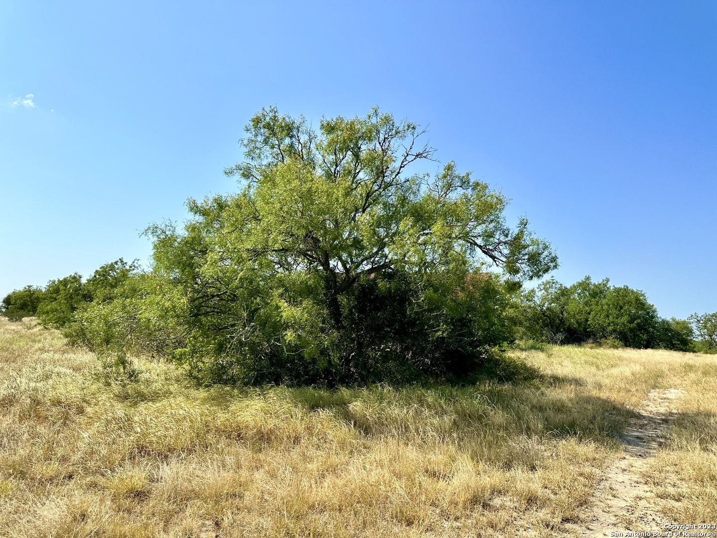 116 County Road 116 George West, TX 78022 - Photo 32 of 47