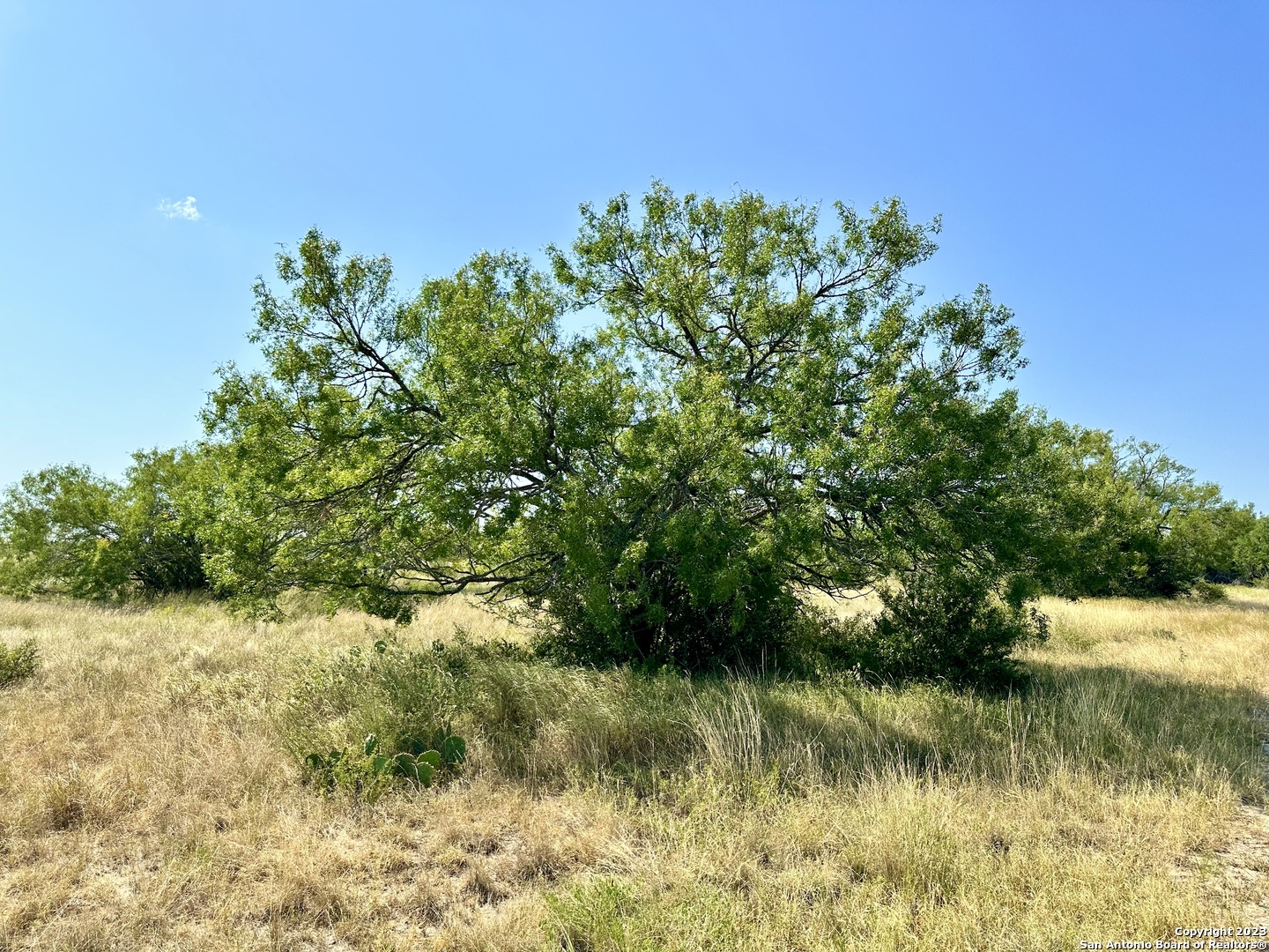 116 County Road 116 George West, TX 78022 - Photo 33 of 47