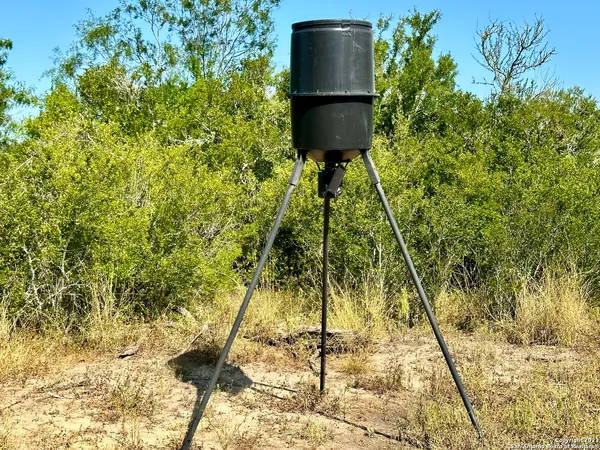 a view of a big yard with large trees