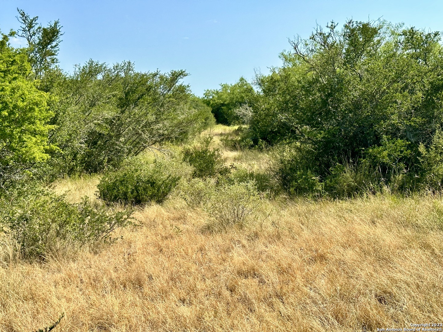 116 County Road 116 George West, TX 78022 - Photo 37 of 47