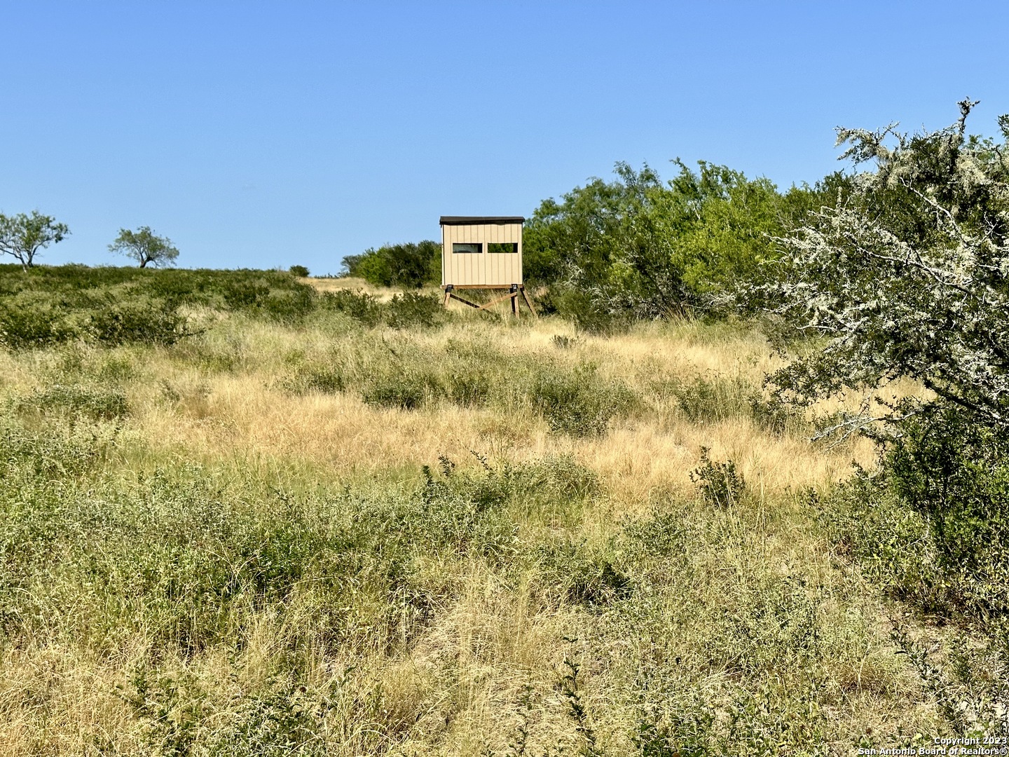 116 County Road 116 George West, TX 78022 - Photo 38 of 47