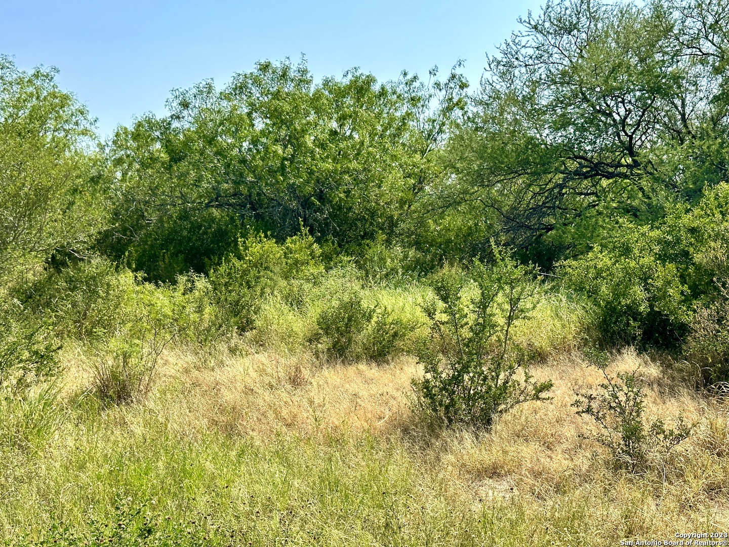 116 County Road 116 George West, TX 78022 - Photo 40 of 47