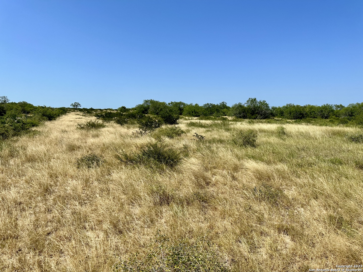 116 County Road 116 George West, TX 78022 - Photo 4 of 47