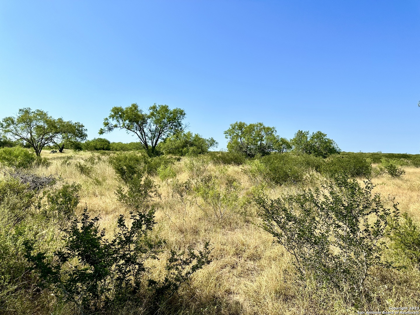 116 County Road 116 George West, TX 78022 - Photo 41 of 47