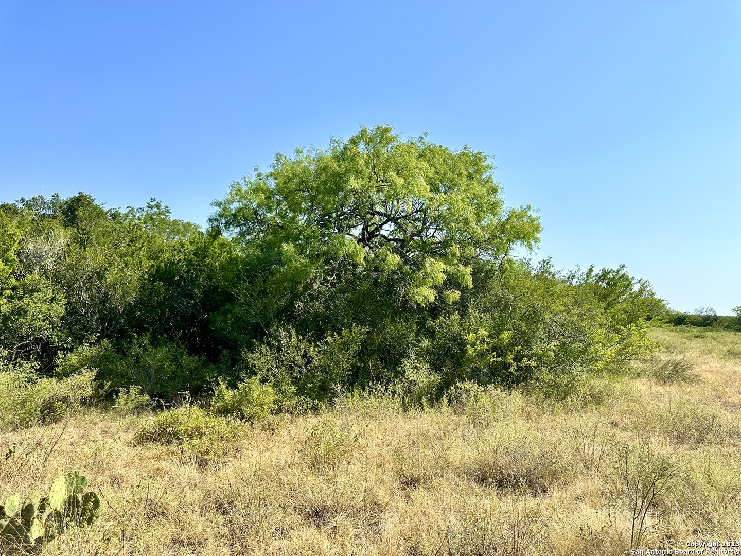 116 County Road 116 George West, TX 78022 - Photo 45 of 47
